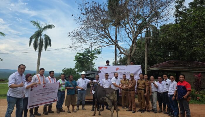 Minamas Plantation Salurkan 9 Ekor Hewan Kurban untuk Masyarakat Marau dan Pemda Ketapang