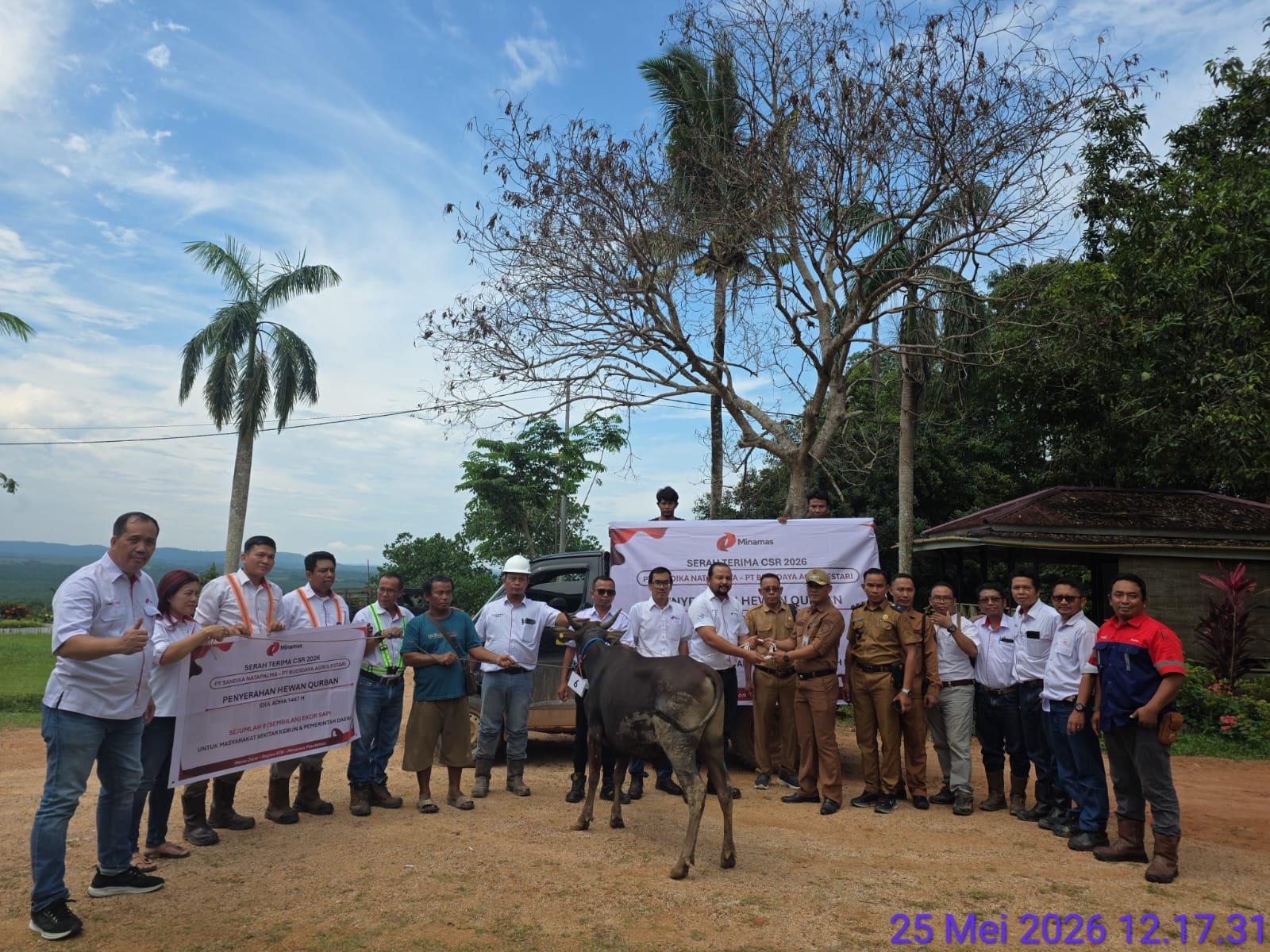 Penyerahan Sapi Qurban