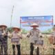 Panen Raya Jagung