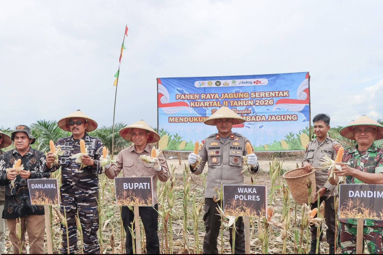 Panen Raya Jagung