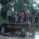 Bupati Sambas, Satono dan rombongan saat meninjau jembatan rusak di Tebuah Elok, Kecamatan Subah, Jumat sore kemarin.