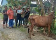 Pengurus surau yang menerima bantuan sapi kurban dari Pemda Mempawah.