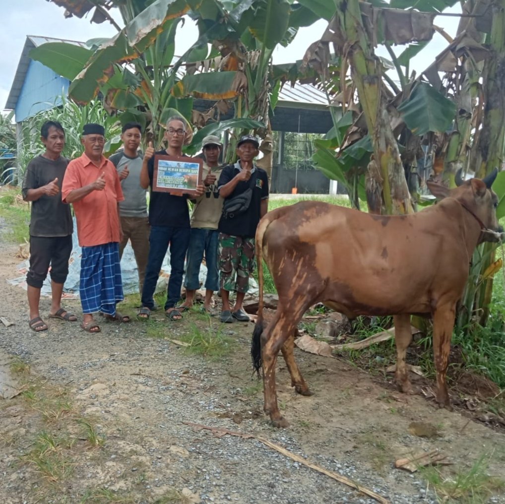 Pengurus surau yang menerima bantuan sapi kurban dari Pemda Mempawah.
