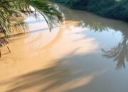Tambang Ilegal Diduga Jadi Sebab Air Sungai Tebas Keruh, Ferdinan Minta Dinas Teknis Turun Lapangan