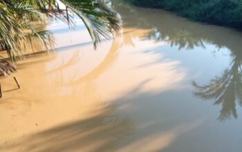 Tambang Ilegal Diduga Jadi Sebab Air Sungai Tebas Keruh, Ferdinan Minta Dinas Teknis Turun Lapangan