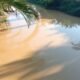 KERUH, air sungai di sepanjang Tebas Sungai sampai Tebas Kuala keruh seperti susu. Diduga ini akibat dampak tambang ilegal.