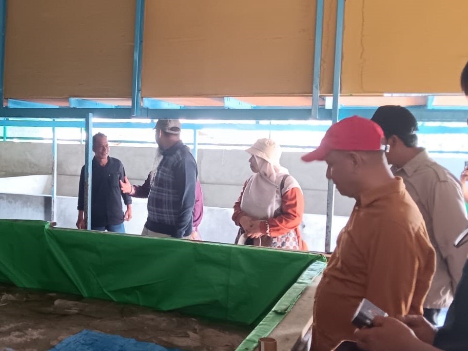 TINJAU, Kepala Dinas Perikanan Peternakan dan Kesehatan Hewan Kabupaten Sambas mendampingi kunjungan lapangan Asisten Deputi Pembangunan Wilayah Perbatasan 3T