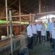 Kadis PPKH Sambas Hendy Wijaya Monitoring Kesehatan Sapi Banmas Presiden di Desa Mensere