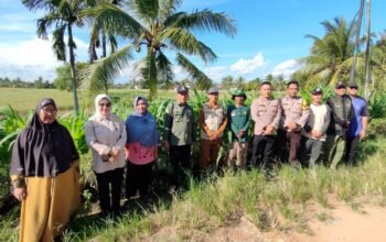 Kapolsek Sungai Pinyuh, AKP Agus Suryana meninjau program ketahanan pangan di Desa Sungai Batang/Foto Jejaring Kalbar