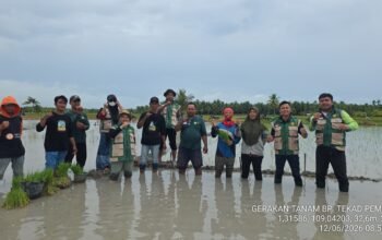 Brigade Pangan di Perbatasan Sambas Malaysia, Ambil Bagian dalam Gerakan Tanam Padi Serempak 52 Ribu Hektare