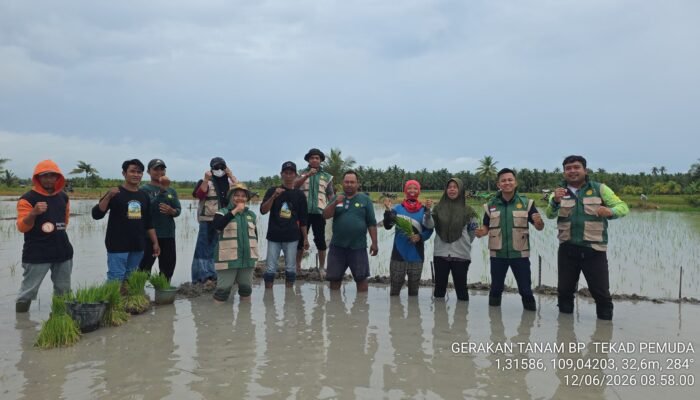 Brigade Pangan di Perbatasan Sambas Malaysia, Ambil Bagian dalam Gerakan Tanam Padi Serempak 52 Ribu Hektare