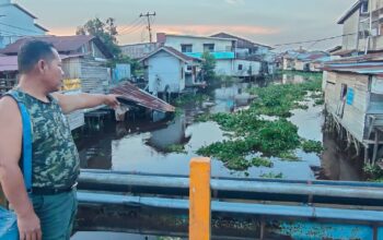 Kumpai dan Eceng Gondok Penuhi Sungai Jalan Pancasila Pinyuh, Pipa Air Warga Rusak