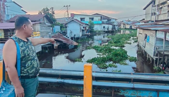 Kumpai dan Eceng Gondok Penuhi Sungai Jalan Pancasila Pinyuh, Pipa Air Warga Rusak