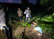 Heboh Kuburan Mencurigakan di Seliung Dalam Pinyuh, Ternyata Berisi Anjing Hitam