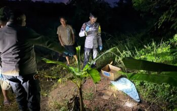 Heboh Kuburan Mencurigakan di Seliung Dalam Pinyuh, Ternyata Berisi Anjing Hitam