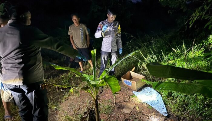 Heboh Kuburan Mencurigakan di Seliung Dalam Pinyuh, Ternyata Berisi Anjing Hitam