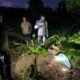 Kuburan Mencurigakan di Makam Tionghoa Seliung Dalam Ternyata Berisi Anjing Hitam
