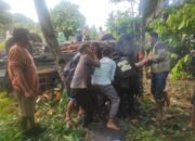 Kernet Pikap Bermuatan Durian Tewas dalam Kecelakaan Tunggal di Anjongan