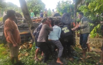 Kernet Pikap Bermuatan Durian Tewas dalam Kecelakaan Tunggal di Anjongan