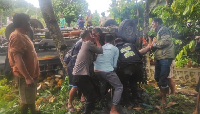 Kernet Pikap Bermuatan Durian Tewas dalam Kecelakaan Tunggal di Anjongan
