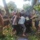 Evakuasi korban kecelakaan pikap bermuatan durian di Jalan Raya Anjongan, Kabupaten Mempawah.