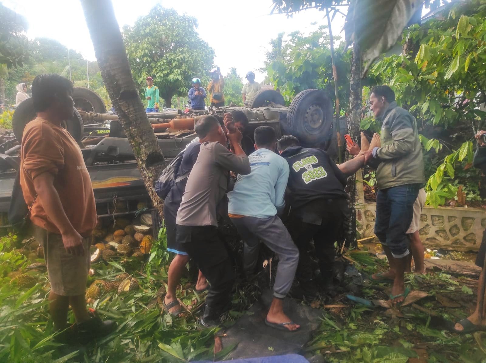 Evakuasi korban kecelakaan pikap bermuatan durian di Jalan Raya Anjongan, Kabupaten Mempawah.