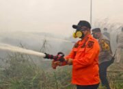 Bupati Ketapang, Alexander Wilyo melakukan monitoring sekaligus penanganan Karhutla di Jalan Pelang.