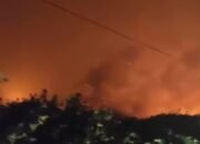 Pria 26 Tahun Tewas Terjebak Asap Karhutla di Jalan Pelang Ketapang