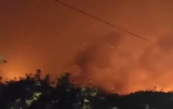 Pria 26 Tahun Tewas Terjebak Asap Karhutla di Jalan Pelang Ketapang