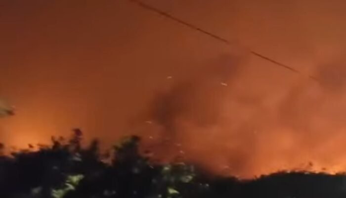 Pria 26 Tahun Tewas Terjebak Asap Karhutla di Jalan Pelang Ketapang