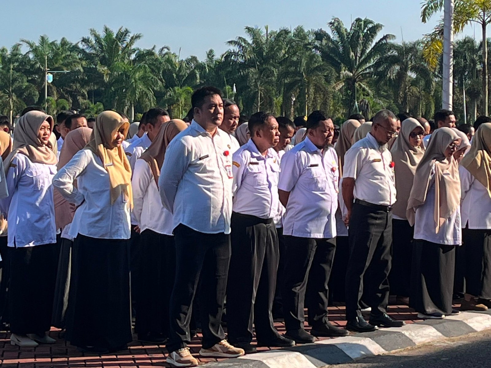 ASN Dinas Perikanan Peternakan dan Kesehatan Hewan Kabupaten Sambas saat apel gabungan di Halaman Kantor Bupati Sambas.