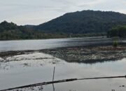 Danau Sebedang, Kabupaten Sambas
