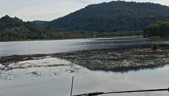 Dinas PPKH Sambas Dorong Pengembangan Potensi Perikanan di Perairan Danau