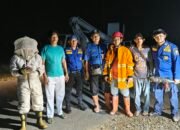 BPBD dan Dishub Mempawah Musnahkan Sarang Tawon Berukuran Besar di Komplek Patoka Sungai Pinyuh