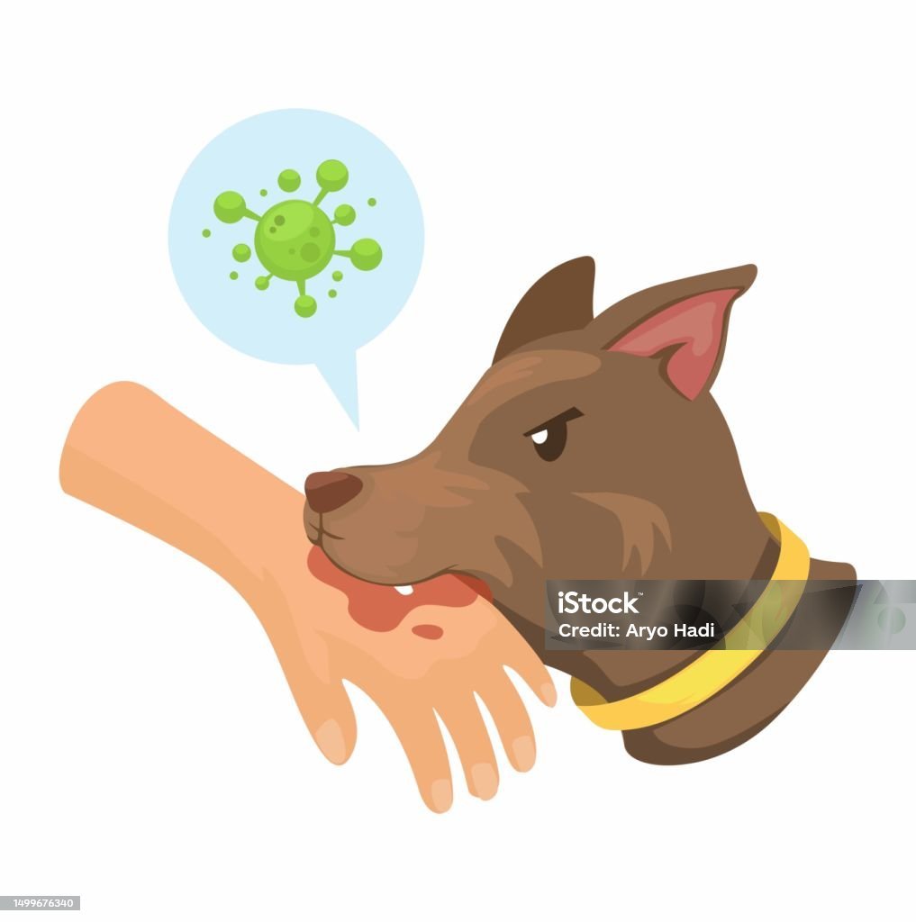 Ilustrasi Rabies